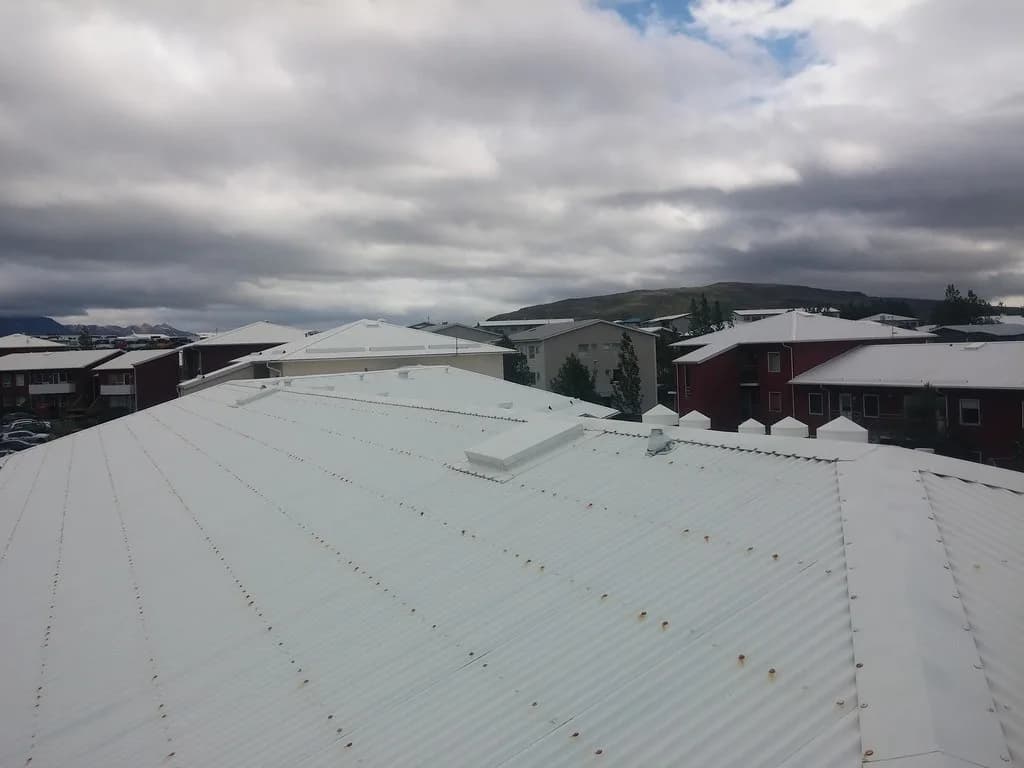 Ljóst báruþak með þakgluggum og loftunartúðum.