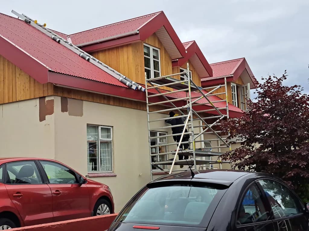 Vinnupallar við nýja kvisti á rauðu þaki.